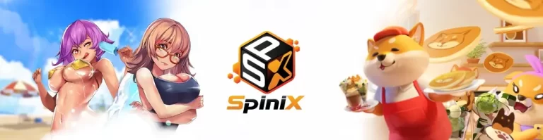 spinix หน้าเว็บ